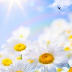 מפגש חברותא לזכרו של אסף רז ז"ל