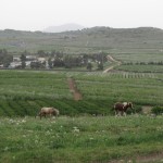 מסלולים בגולן – סיפור הגולן על כל פניו בספר חדש