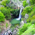 גשרים במבואות הגולן