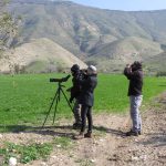 לצבי אין בעיה – ספירת הצבאים בגולן