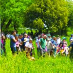 קק"ל חנכה שביל חדש במרום גולן