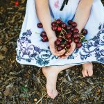 פסטיבל קטיף תוצרת הגולן