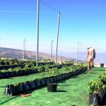 מצע מנותק ודשא סינתטי בנווה אטיב