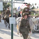 הקרב על צמח