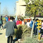 יריד השפה העברית – בבית הספר "שורשים"