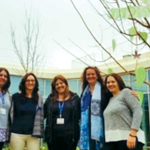 העץ הנדיב בביה"ח "זיו"