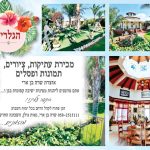 הגלריה של שרה בן ארי בנאות גולן