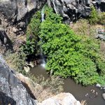 חוגגים את שבועות בגילבון