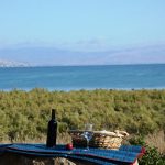 ט"ו באב – אהבה בכנרת