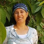 הבית של טלי צעירי