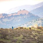 מירוץ PEAK TO PEAK