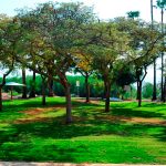 הכנרת ערוכה לפתיחת העונה