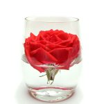 סוגרים מעגלים