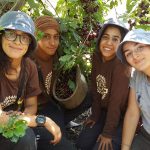 "אדם ואדמה" –  בית ספר תיכון חדש בגולן