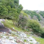 הג'ובה הגדולה