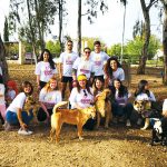 "מרכז צעירים" קצרין. מסכמים שנה