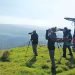 ספירת הצבאים השנתית בגולן