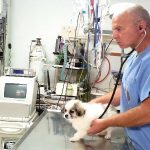 לקראת גל הקור הצפוי