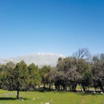 מסלול קריר לחום של יוני