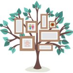 סדר יום חדש