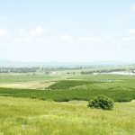 כוחה של התנדבות