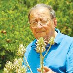 למי באמת שייך הגולן?