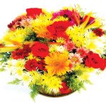 להגשים את כל הרשימה