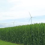 שדות תירס, ברביקיו, וטורבינות רוח