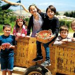 הדובדבן כבר כאן!