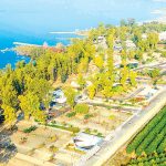 חוף "דוגה" החדש