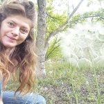 פטריות אקטומיקוריזה ואורן ירושלים