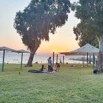 "דוגה" (ששש…, מספרת רק לכם)