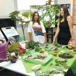 גננות – הדור הבא