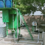 האמא של קהילה נשית