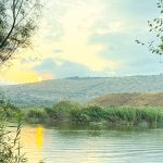 ניסים וחברים טובים