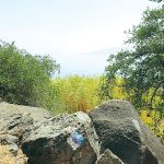 מסלול טיול – קחו אוויר והפוגה