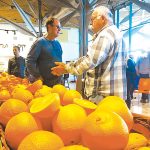 זני פירות הדר חדשים 