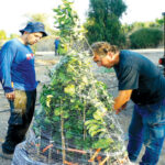 עין גב: ממשיכים לפתח את החקלאות