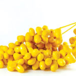 אין כמו עצות טובות של אימא