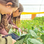 יש חקלאיוֹת באופק