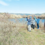 תכנית חינוכית ייחודית בגולן