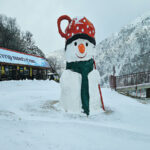 החרמון חוזר לפעילות